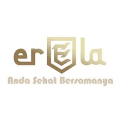 PT Erela